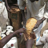 Distribution d'aide alimentaire au Soudan du Sud. UNHCR/P. Rulashe