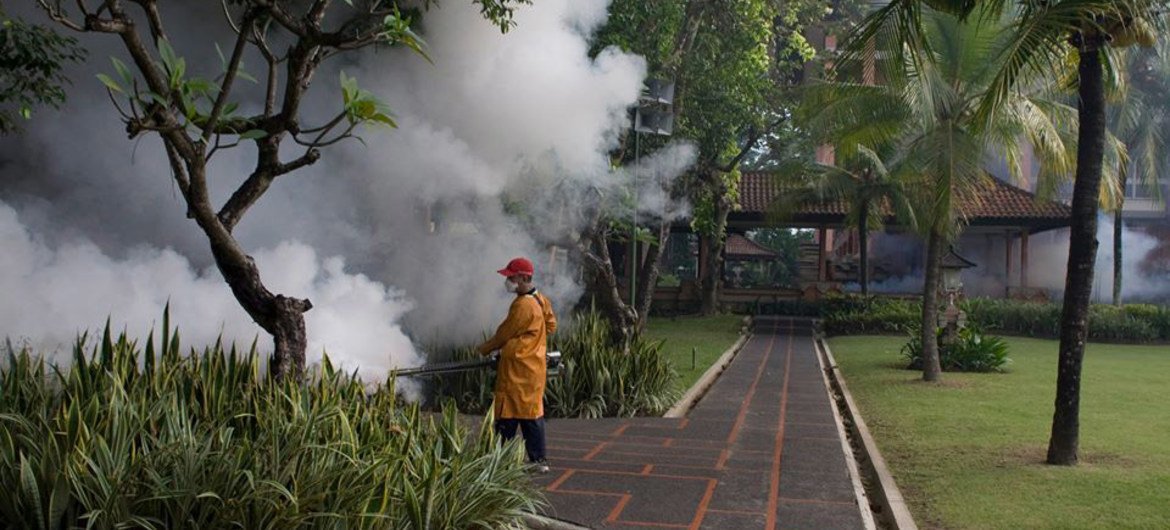 Mosquito fogging in Bali, Indonesia.