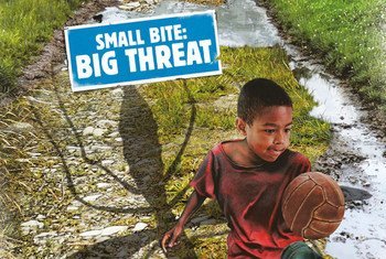 Small bite, big threat. Mosquitoes, flies, ticks and bugs may be a threat to your health – and that of your family - at home and when travelling. This is the message of this year’s World Health Day, on 7 April.