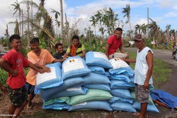 En avril 2014, des Philippins affectés par le typhon Haiyan reçoivent des sacs de riz avant la saison des semis.Photo FAO