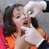 A child being administrated a dose of polio vaccination. Immunization programmes are a key element to strong health-care systems.