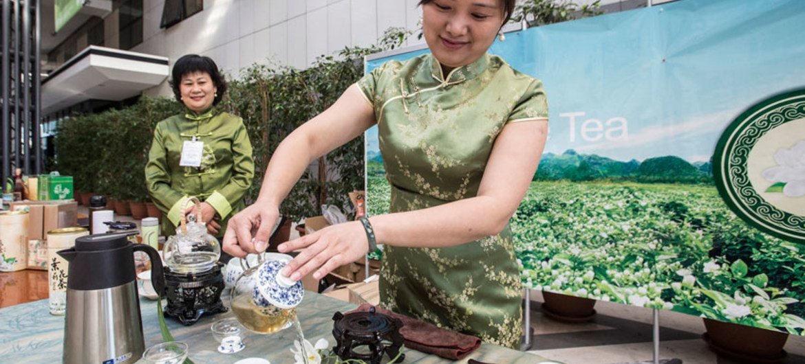 Dégustation de thé au jasmin chinois au siège de la FAO à Rome.