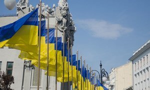 Drapeaux ukrainiens en face de la maison aux chimères, Kiev.