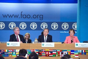 Le Secrétaire général Ban Ki-moon devant le Comité mondial sur la sécurité alimentaire à Rome le 7 mai 2014. Photo ONU/ Eskinder Debebe