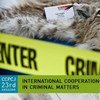 Los delitos contra la vida silvestre no están tipificados como actividades criminales en algunos países. Foto de archivo: UNODC