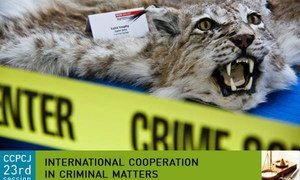 UNODC says wildlife crime worth $8-10 billion annually.