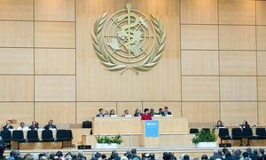 WHO Director-General Margaret Chan (at podium), addresses the 67th World Health Assembly.