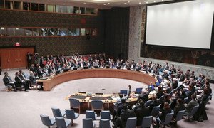 China and Russia vetoed a Security Council resolution that would have referred the situation in Syria to the International Criminal Court (ICC).