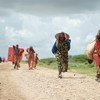 Desplazados por la violencia en Somalia  Foto:  ONU/Tobin Jones