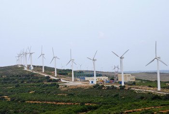 Wind turbine farm in Tunisia.