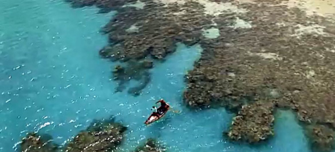 With the planet’s oceans under stress, the United Nations is marking World Oceans Day by appealing to the international community to keep oceans healthy and productive and to use their resources peacefully, equitably and sustainably for the benefit of current and future generations. Source: screen capture UNESCO/Global Partnership for Oceans