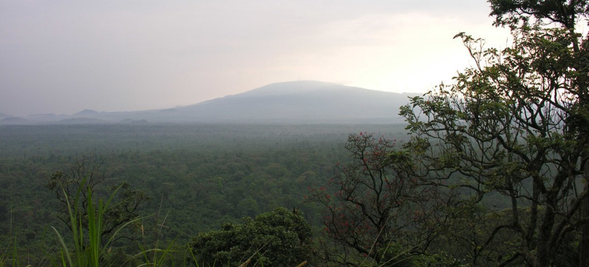 Virunga National Park in the Democratic Republic of the Congo (DRC) comprises an outstanding diversity of habitats.