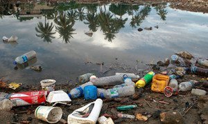 Plastic bottles and garbage waste from a village in Timor-Leste wash on the shores of a river and then spill into the sea.