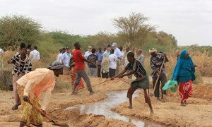 An irrigation canal being reinforced near the Kabasa displacement site, outside Doolow in southern Somalia. The work is supported by the World Food Programme.