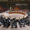 El Consejo de Seguridad de la ONU  Foto:ONU/Devra Berkowitz