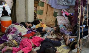 Members of an ethnic Yezidi family sleep in the shade in Shekhadi village, Iraq, after fleeing Sinjar.