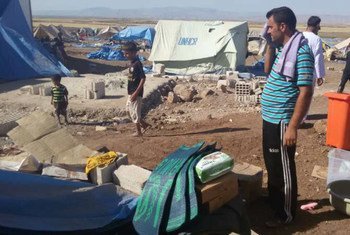 La distribution de tentes et d'autres articles de première nécessité continue alors que la population du camp de Newroz augmente avec l'arrivée de nouveaux déplacés yézidis du Mont Sinjar en Iraq. Photo HCR