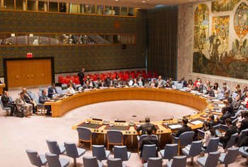 El Consejo de Seguridad de la ONU en sesion  Foto archivo:  ONU/Mark Garten