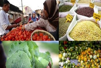 Les prix des aliments de base ont augmenté en septembre de 2,9% par rapport au mois d’août et de 10% sur un an; Crédit: FAO