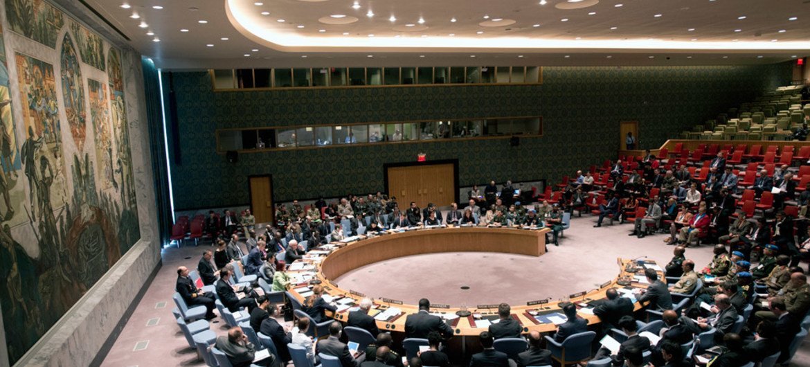 A wide view of the Security Council.