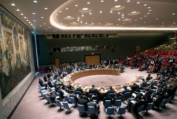 Le Conseil de sécurité de l'ONU. Photo ONU/Kim Haughton