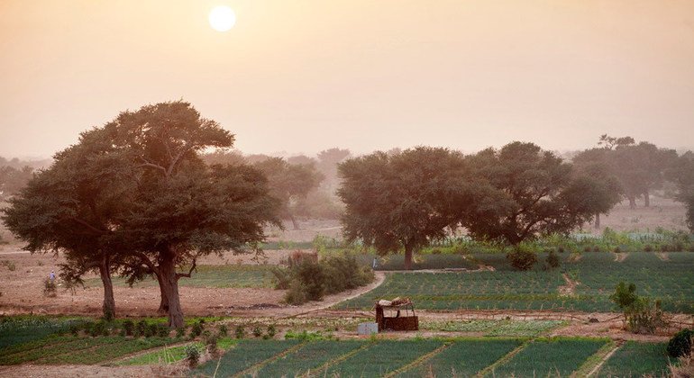La Gran Muralla Verde para el Sahara y el Sahel apoyan a las comunidades locales en la gestión sostenible de las tierra.