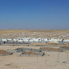 مخيم للنازحين في منطقة سنجار بالعراق. الصورة لمفوضية شؤون اللاجئين