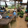 Market stalls with little farm produce due to restrictions in movement in Ebola-affected Kolahun City, Lofa County, Liberia.