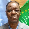 UNAMID Acting Joint Special Representative Abiodun Bashua.