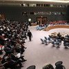Consejo de Seguridad de la ONU. Foto: ONU/Devra Berkowitz