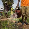 布基纳法索的农民在浇灌农田。世界银行图片/Dominic Chavez