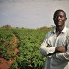农村发展、青年就业和移民问题紧密相关。粮农组织图片/Riccardo Gangale