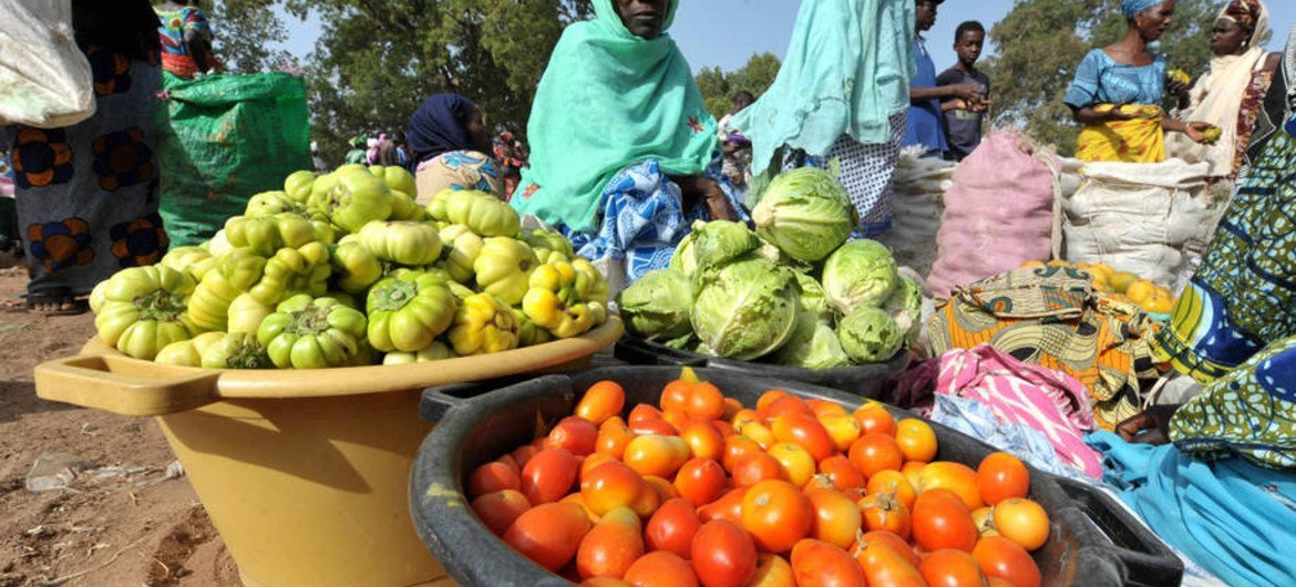 Une femme vendant des légumes en Gambie, l'un des pays célébrés par la FAO pour ses progrès dans la lutte contre la faim. Photo : FAO/SEYLLOU Diallo