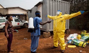 Ambulance depot near an emergency response centre, in Freetown, Sierra Leone. Ambulances and drivers have to be disinfected after each trip carrying suspected Ebola cases.
