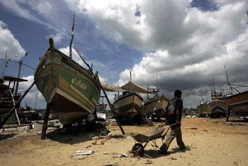 Des bâteaux de pêche au Sri Lanka. Photo : FAO/Prakash Singh