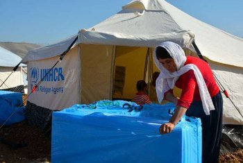 Un résident du camp de Arbat en Iraq ouvre une boîte contenant un isolant qui permettra à sa famille de rester au chaud cet hiver. Photo : HCR/N. poulain