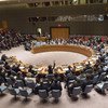 Le Conseil de sécurité des Nations Unies. Photo ONU/Evan Schneider