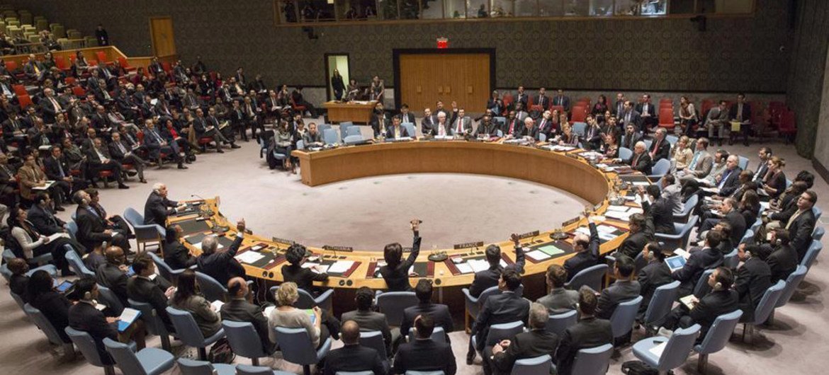 Le Conseil de sécurité des Nations Unies. Photo ONU/Evan Schneider