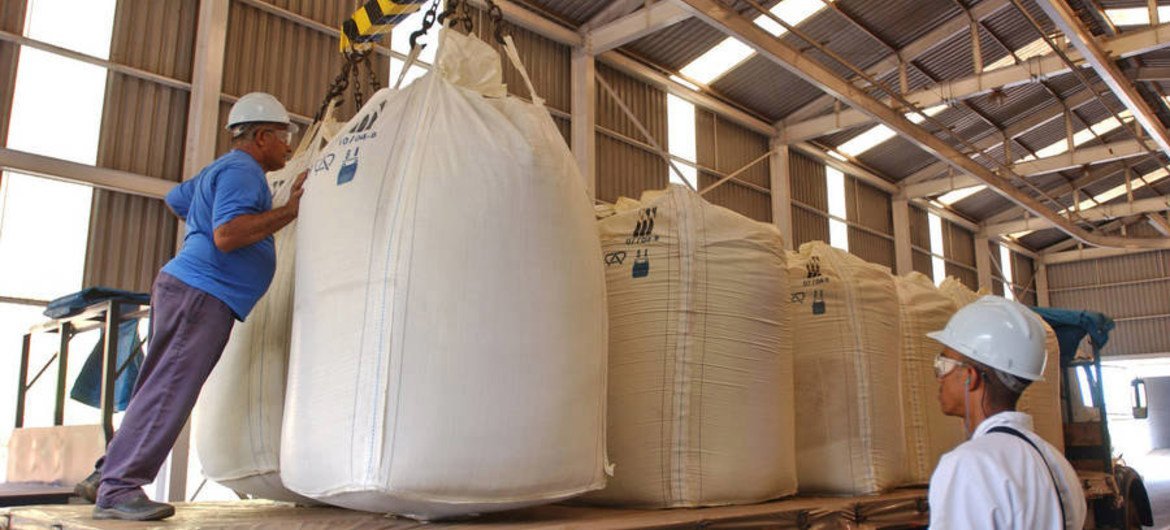 Workers load sugarcane at an ethanol distillery in Brazil.