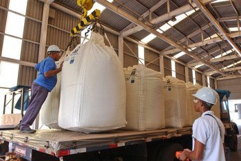 Trabalhadores carregam cana-de-açúcar em uma destilaria de etanol no Brasil.