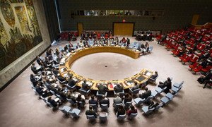 Plan large sur le Conseil de sécurité de l'ONU. Photo ONu/Loey Felipe (archive)