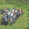 Des ex-combattants FDLR se rendent volontairement à la MONUSCO. Photo : la MONUSCO
