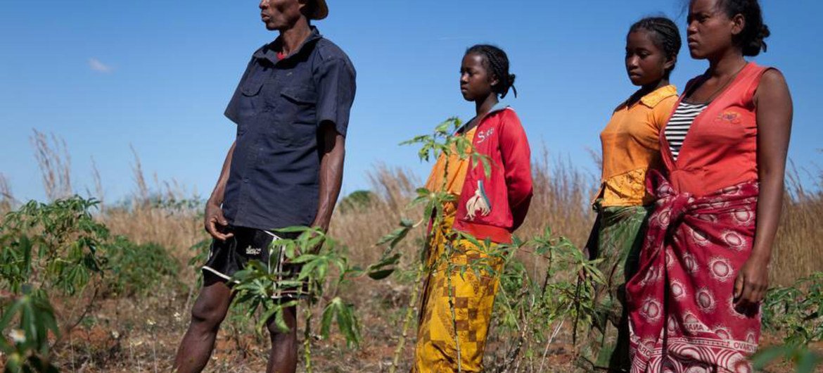 Une famille d'agriculteurs malgaches regarde des travailleurs asperger des pesticides pour lutter contre les criquets sur leurs terres dans la région de Betroka.