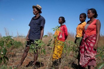 A family of farmers watch as locust-control workers spray pesticides on their land in Madagascar’s Betroka region.