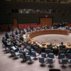 Consejo de Seguridad. Foto: ONU/Devra Berkowitz