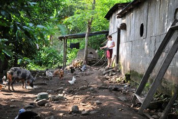 A farmer feeds her animals on a family farm in Nicaragua.