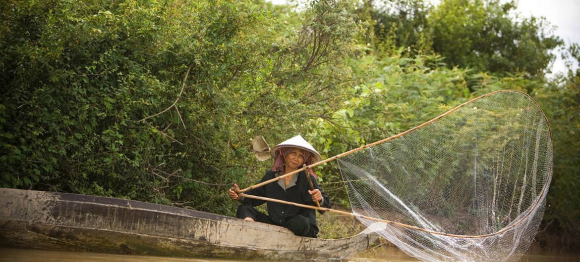 Pesca en el río Tonle Sap, en Camboya. Foto:  FAO/A.K. Kimoto
