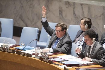 Amb. Cristián Barros Melet of Chile, President of the Security Council for January, voting as the Council unanimously renewed sanctions on the Democratic Republic of the Congo (DRC).
