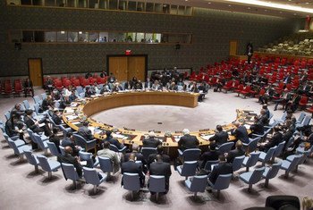 Wide view of the Security Council during its meeting on Guinea-Bissau.