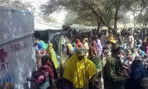 Nigerian refugees fleeing attacks by insurgents on Baga town and surrounding villages, wait to be registered by UNHCR in Ngouboua, western Chad.